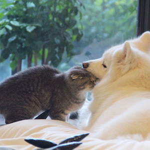 免费看美女裸体🔞🔞🔞中国
